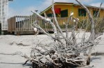 Cottage on Little Gasparilla Island